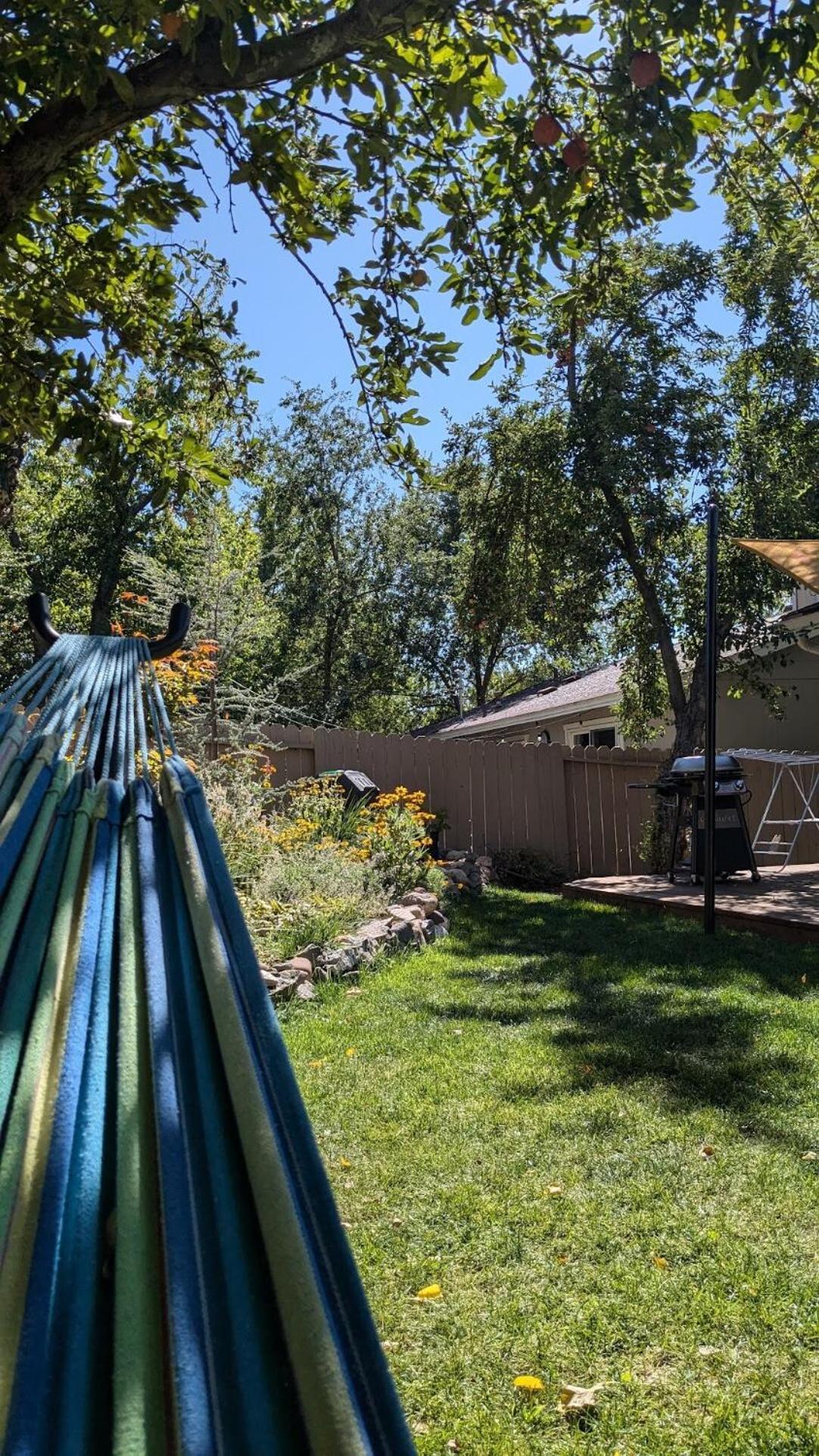 The Midtown Reno Orchard Βίλα Εξωτερικό φωτογραφία